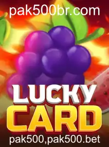Explorando o Mundo do LuckyCard: Um Guia Completo